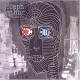 Joseph Arthur - In The Sun